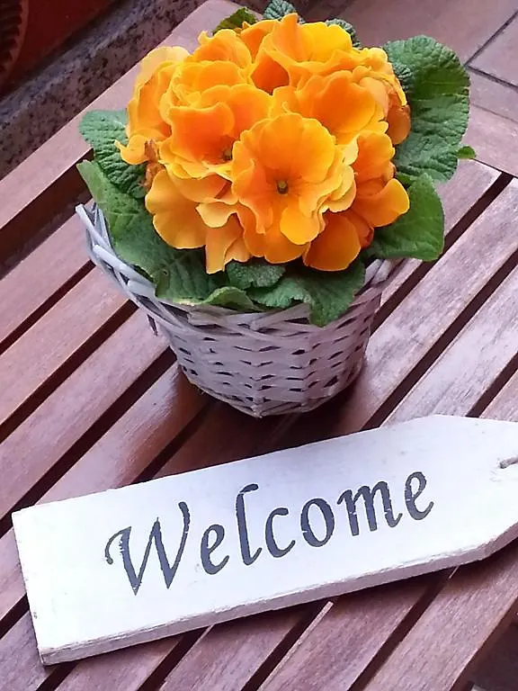 Bed & Breakfast B&B Douglas House Varese